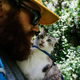 Image for article titled How To Take Your Cat Camping